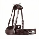 Anatomic Brustblatt Set für Einspänner Braun