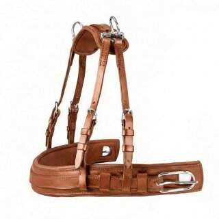 Anatomic Brustblatt Set für Einspänner Cronic...