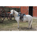 Shetty Navajo Westernpad