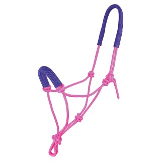 Gepolstertes Knotenhalfter Pink/Purple