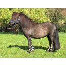 Gamaschenset Shetty mit Fell Unterlegt