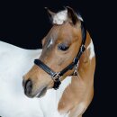 Lederhalfter kleine Gr&ouml;&szlig;en