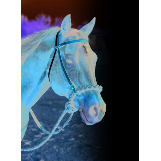 Professionals Choice Loping-Hackamore