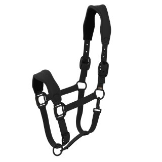 LAMI-CELL V22 Halfter