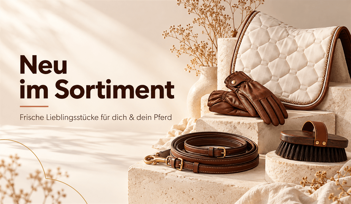Neu im Sortiment – Frische Lieblingsstücke für dich und dein Pferd