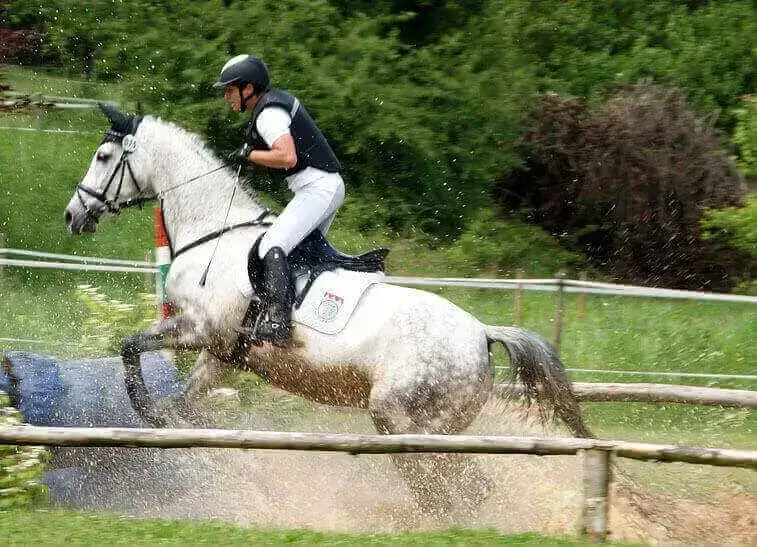 Gemeinsam unterwegs mit dem Pferd
